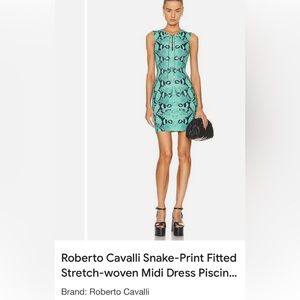 Roberto Cavalli Dress